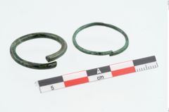 Foto von Bronzering (NHMW-PRAE-026202)